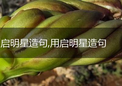 启明星造句,用启明星造句