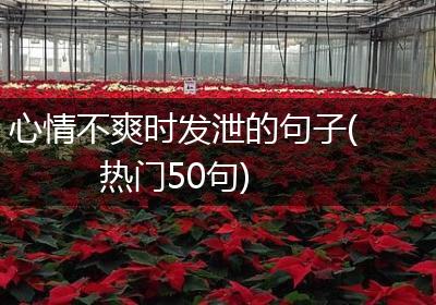 心情不爽时发泄的句子(热门50句)