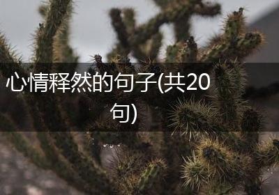 心情释然的句子(共20句)