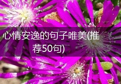 心情安逸的句子唯美(推荐50句)