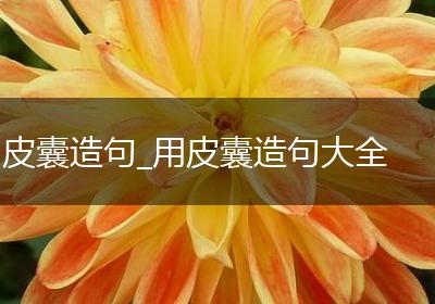 皮囊造句_用皮囊造句大全