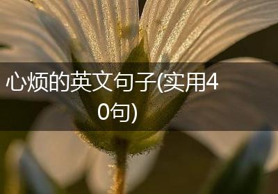 心烦的英文句子(实用40句)