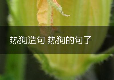 热狗造句 热狗的句子