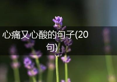 心痛又心酸的句子(20句)