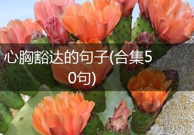 心胸豁达的句子(合集50句)