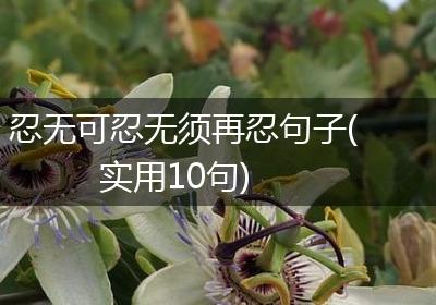 忍无可忍无须再忍句子(实用10句)