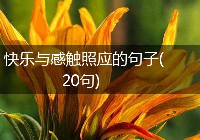 快乐与感触照应的句子(20句)