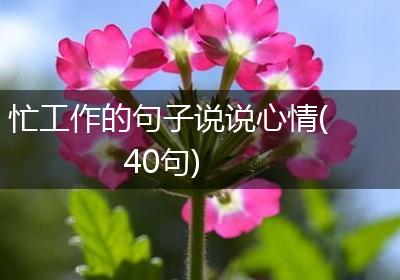 忙工作的句子说说心情(40句)