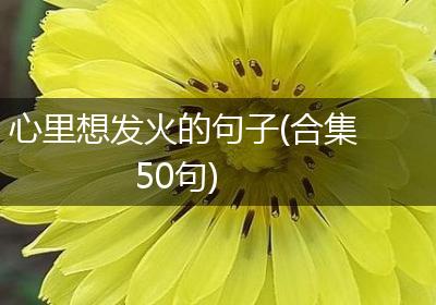 心里想发火的句子(合集50句)