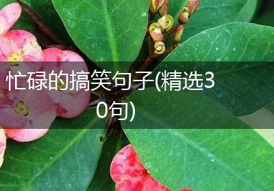 忙碌的搞笑句子(精选30句)