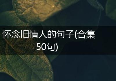 怀念旧情人的句子(合集50句)
