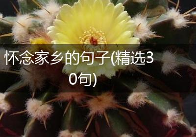 怀念家乡的句子(精选30句)