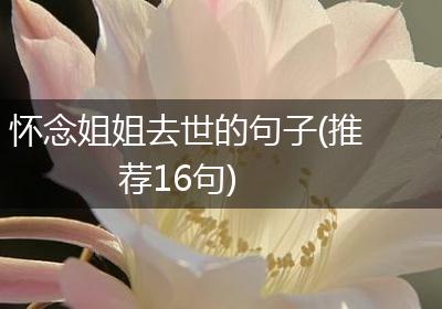 怀念姐姐去世的句子(推荐16句)