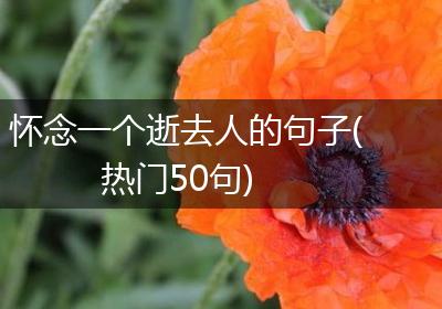 怀念一个逝去人的句子(热门50句)