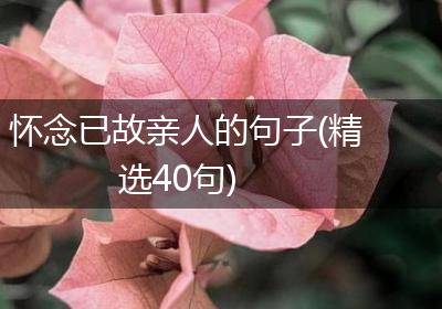 怀念已故亲人的句子(精选40句)
