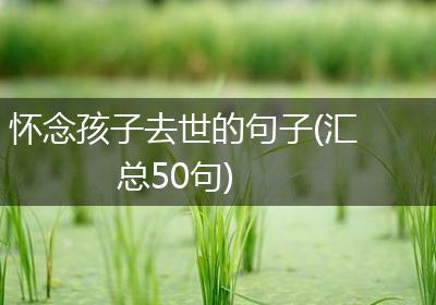 怀念孩子去世的句子(汇总50句)