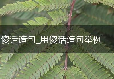 傻话造句_用傻话造句举例