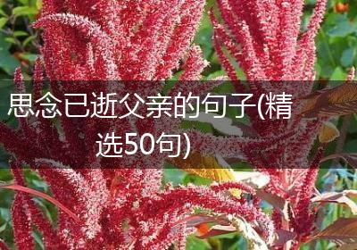 思念已逝父亲的句子(精选50句)