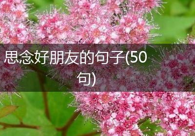 思念好朋友的句子(50句)