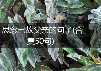 思念已故父亲的句子(合集50句)