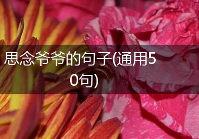 思念爷爷的句子(通用50句)