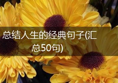 总结人生的经典句子(汇总50句)