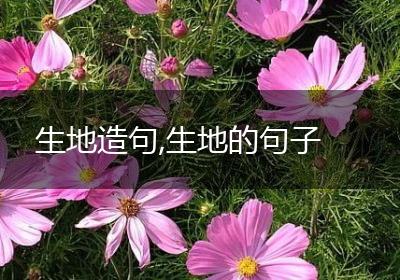 生地造句,生地的句子