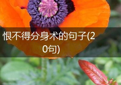 恨不得分身术的句子(20句)