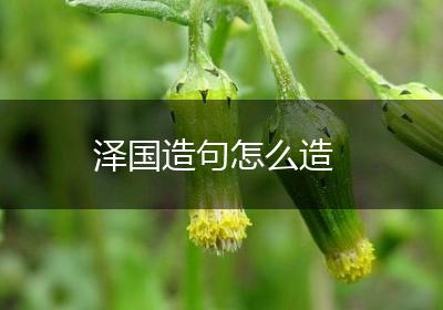泽国造句怎么造