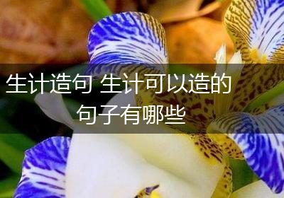 生计造句 生计可以造的句子有哪些