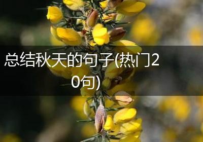 总结秋天的句子(热门20句)