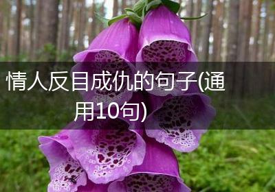 情人反目成仇的句子(通用10句)