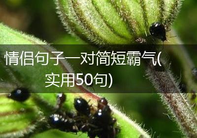 情侣句子一对简短霸气(实用50句)