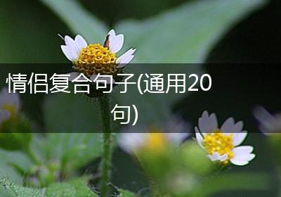 情侣复合句子(通用20句)