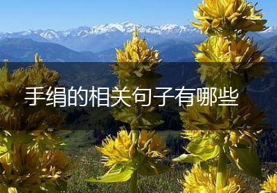 手绢的相关句子有哪些