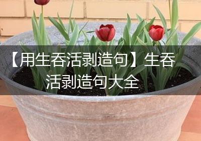 【用生吞活剥造句】生吞活剥造句大全