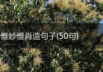 惟妙惟肖造句子(50句)