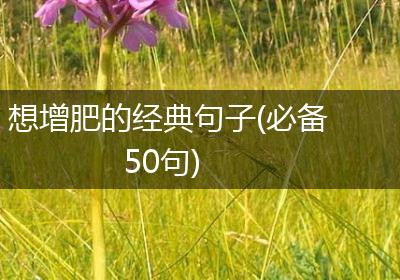 想增肥的经典句子(必备50句)