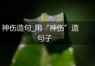 神伤造句_用“神伤”造句子