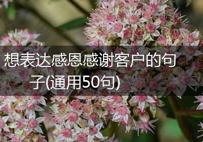 想表达感恩感谢客户的句子(通用50句)
