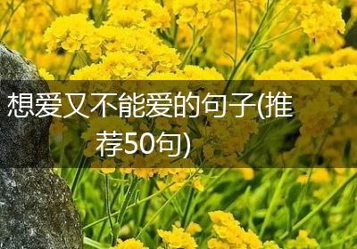 想爱又不能爱的句子(推荐50句)