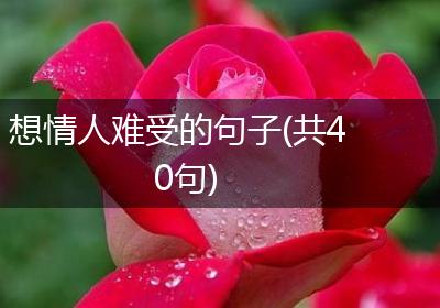 想情人难受的句子(共40句)