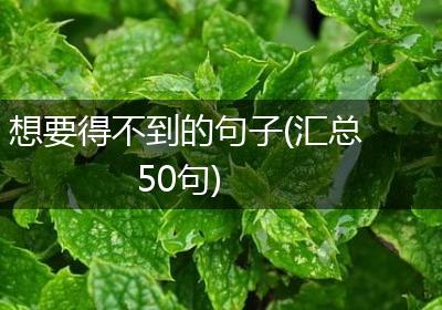 想要得不到的句子(汇总50句)
