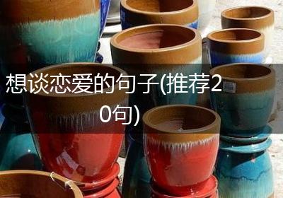 想谈恋爱的句子(推荐20句)