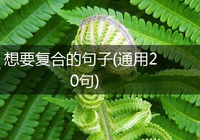 想要复合的句子(通用20句)