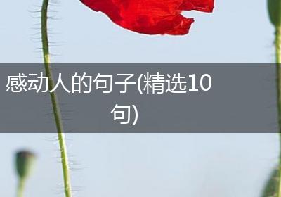 感动人的句子(精选10句)