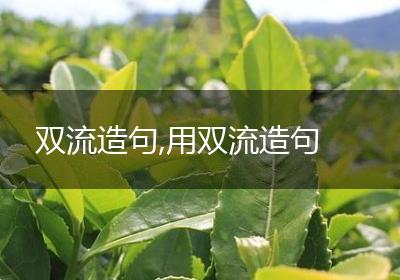 双流造句,用双流造句