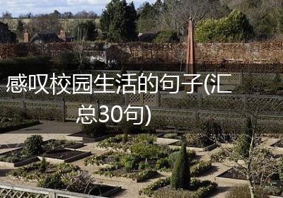 感叹校园生活的句子(汇总30句)