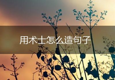 用术士怎么造句子