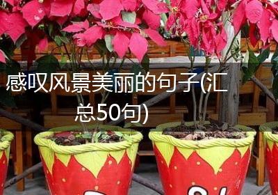 感叹风景美丽的句子(汇总50句)